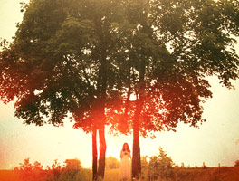 电话在线轰炸网页版