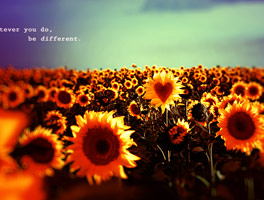 绿色轰炸工具版